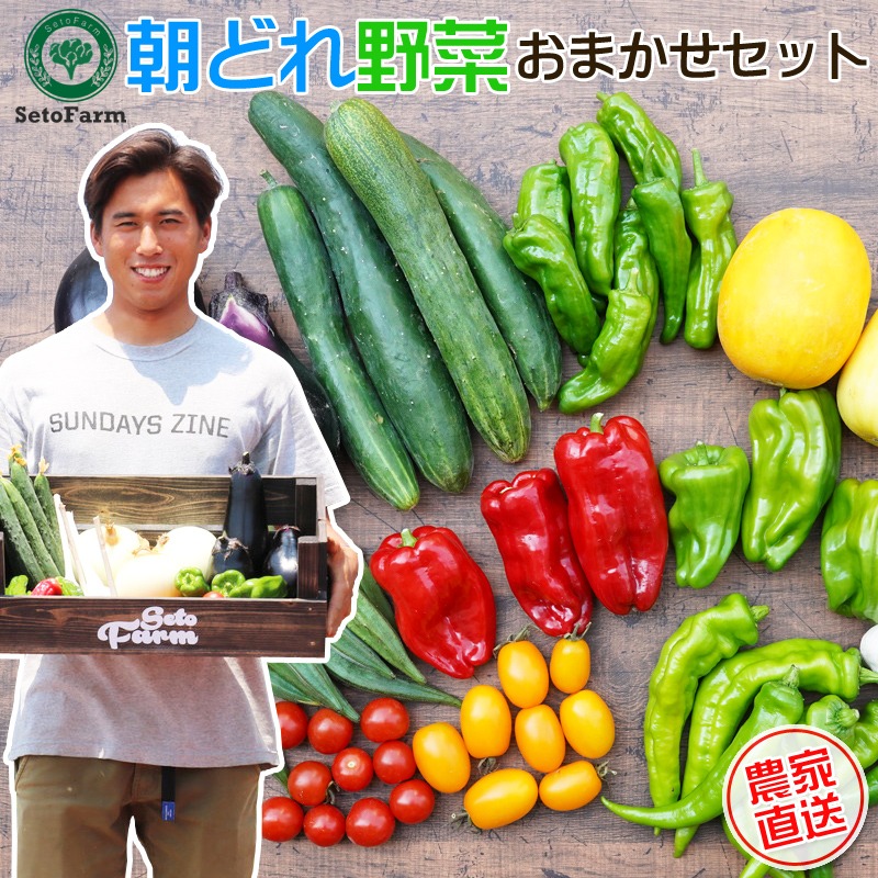 【0768】栽培期間中農薬不使用　朝どれおまかせ野菜セット