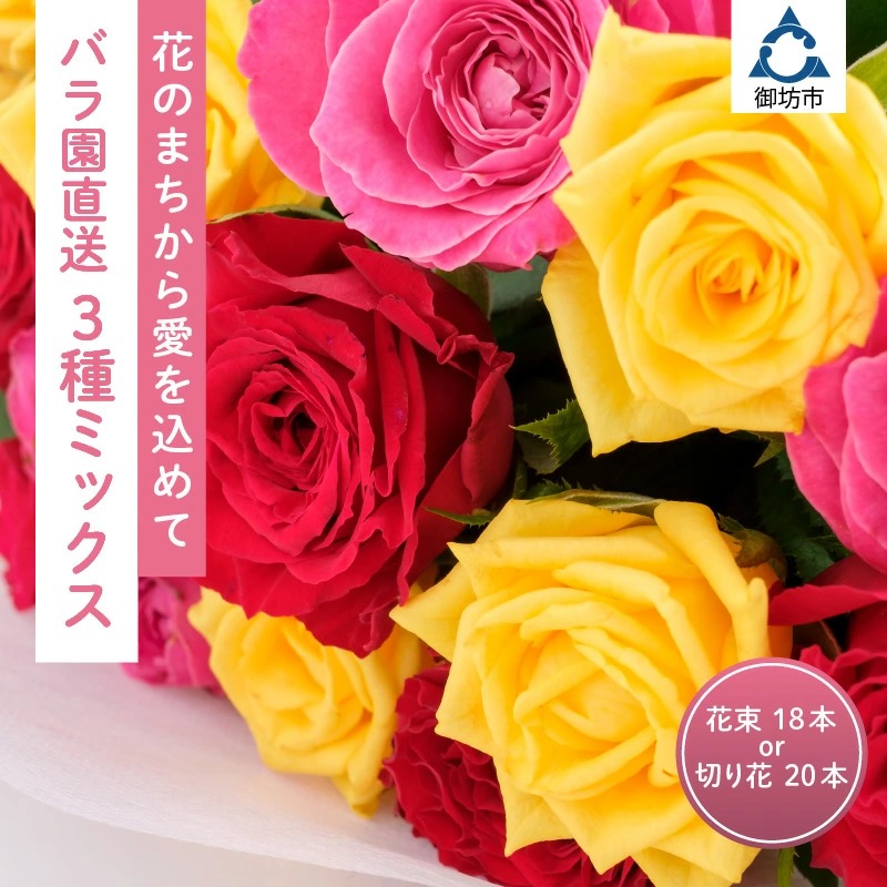 【0299】花のまちから愛を込めて バラ園直送3種ミックス