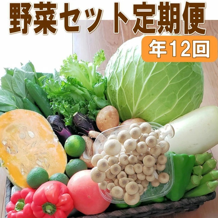【8004】定期便　旬の新鮮野菜セットＡ【毎月お届け12回】たっぷり15品以上