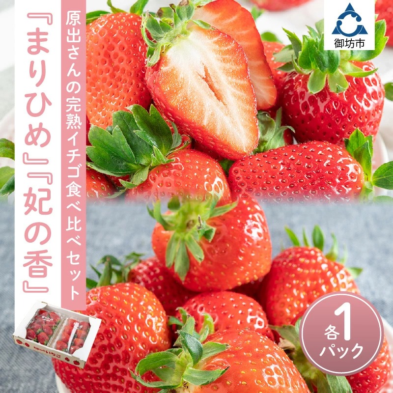 【0709】農園直送！完熟イチゴ食べ比べセット「まりひめ」「紀の香」